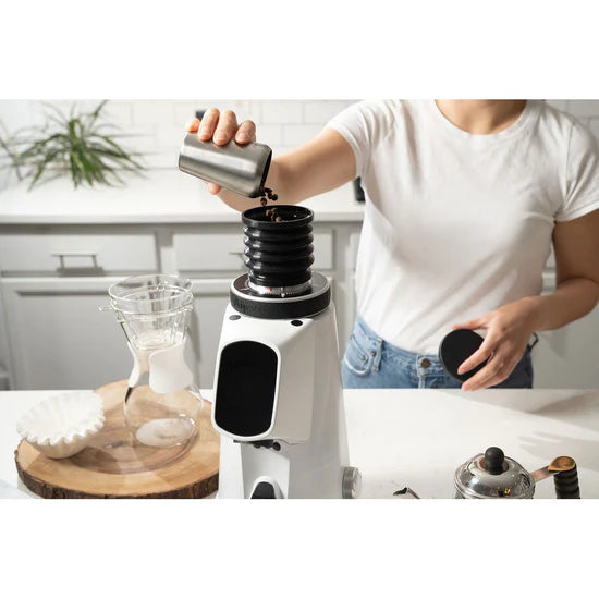 Fiorenzato AllGround ProBrew Coffee Grinder